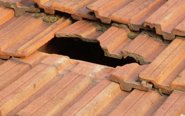 roof repair Columbjohn, Devon